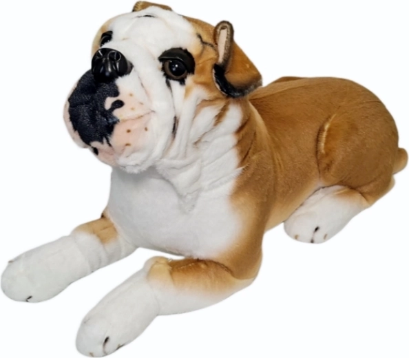 Câine de pluș buldog - 1 bucată