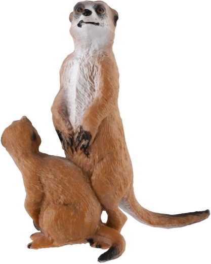 Pereche realistă de suricate