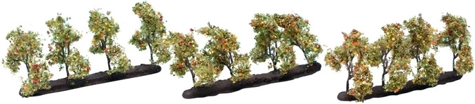 Măr cu fructe Noch, 3,5 cm (12 buc.)