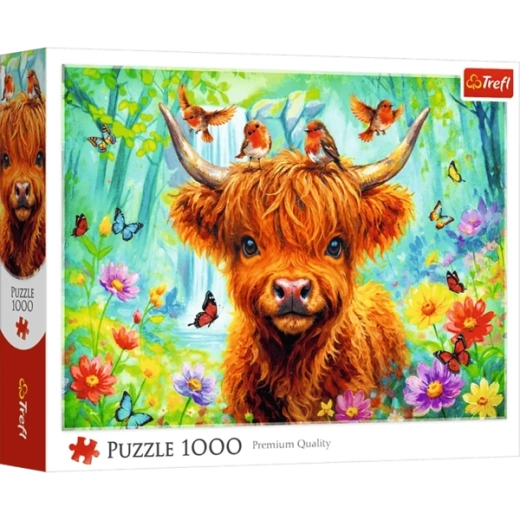 Imagine finală 683 × 480 mm