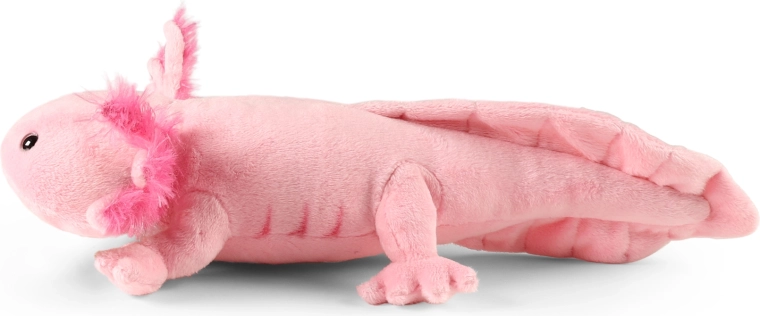 Dimensiune 34 cm pentru îmbrățișări mici și mari