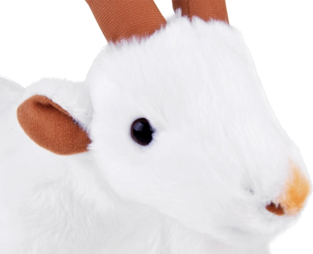 Detalii realiste care atrag atenția