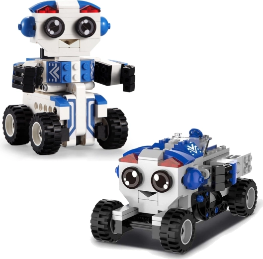 Două modele într-o singură cutie