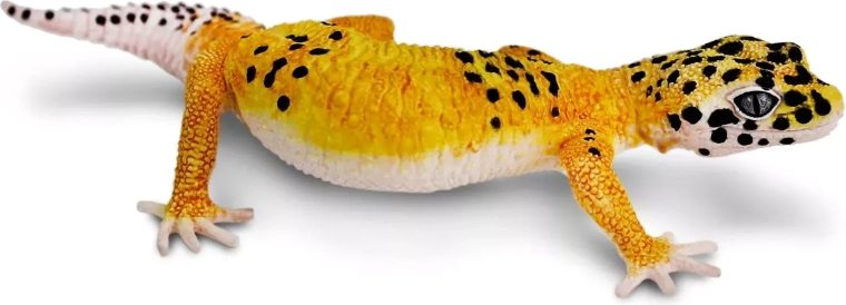Safari Ltd. figurină gecko leopard (nocturn)