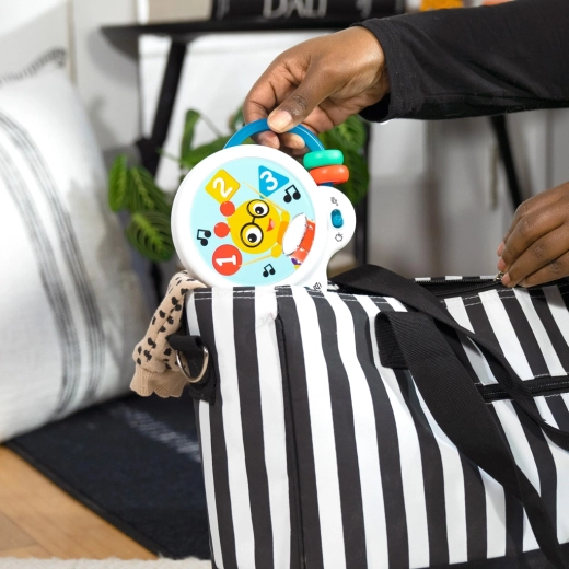 Însoțitor ușor pentru călătorii