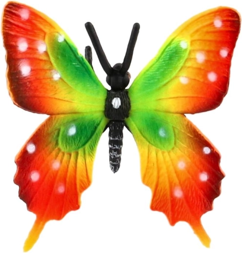 Aripi intens colorate