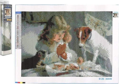 Pictură cu diamante Așteptare 30 × 40 cm