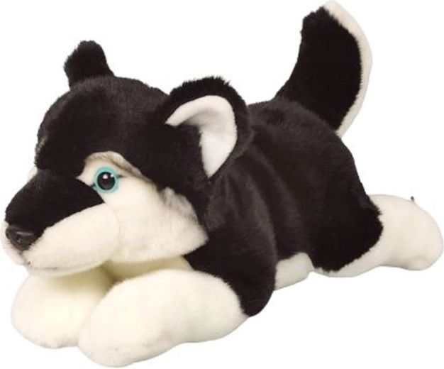 Husky de pluș 34 cm
