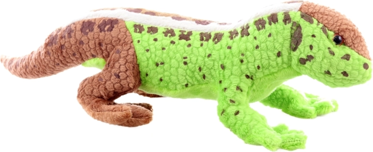 Aspect realist care stimulează imaginația