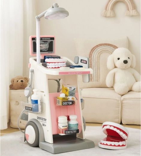 Model de maxilar și accesorii bogate