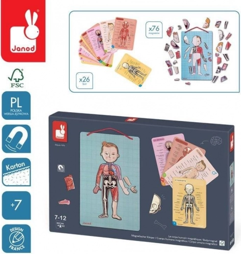 Janod puzzle magnetic corpul uman
