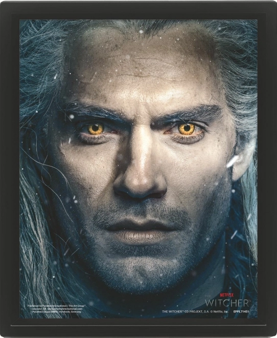 Tablou 3D The Witcher 2