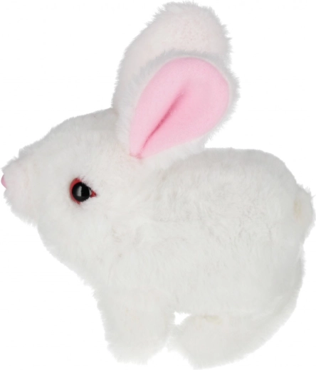 Alegere din trei culori