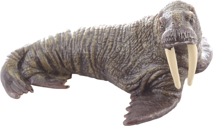 Construcție durabilă din plastic