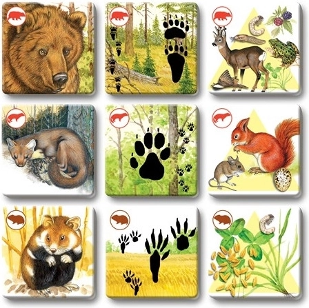 Ilustrații frumoase, care captează atenția