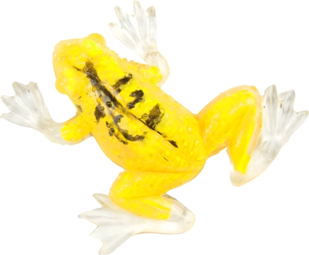 Culori diferite pentru și mai multă distracție