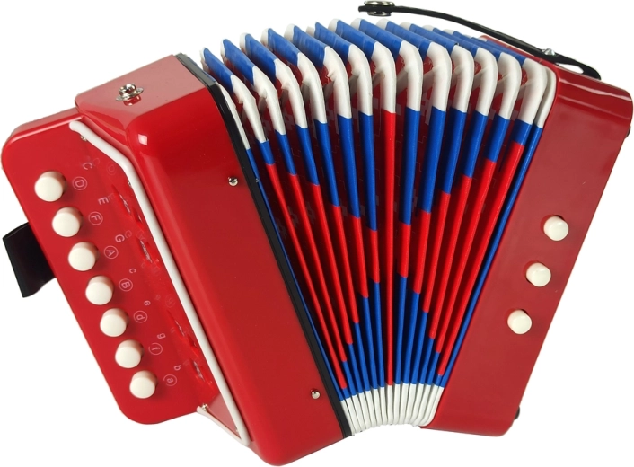 O experiență autentică de acordeon pentru copii