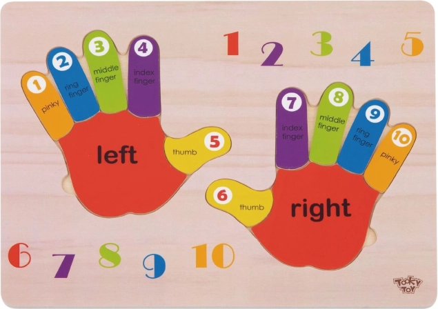 Puzzle educativ din lemn – mâini: învățarea numerelor, culorilor și dreapta/stânga de la TOOKY TOY