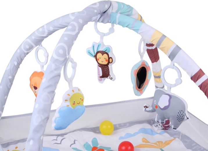 Arcade detașabile cu agățători