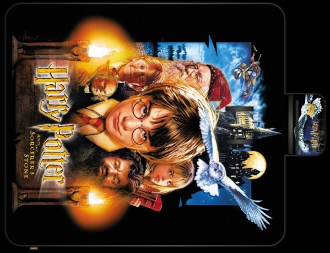 Pătură de picnic Harry Potter 20 de ani