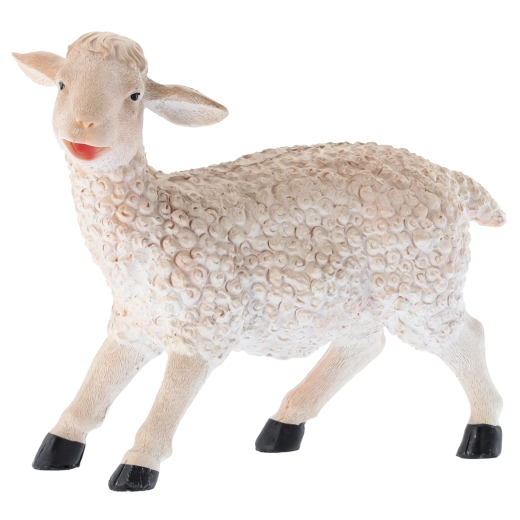 Utilizare versatilă pentru decorațiuni și educație