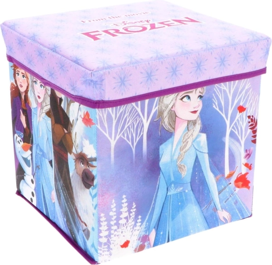 Taburet cu spațiu de depozitare Frozen - 1 bucată