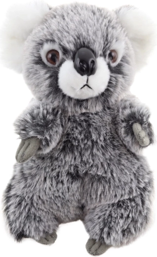 Sigură de la naștere (0+)