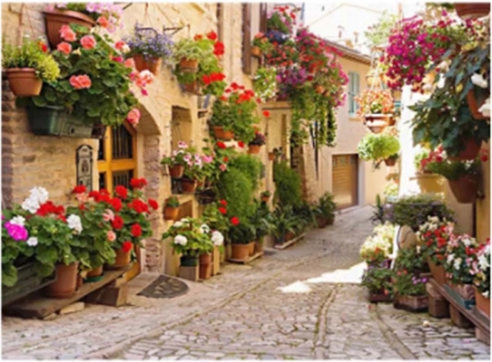 Norimpex pictură cu diamante Stradă italiană cu flori 30 × 40 cm