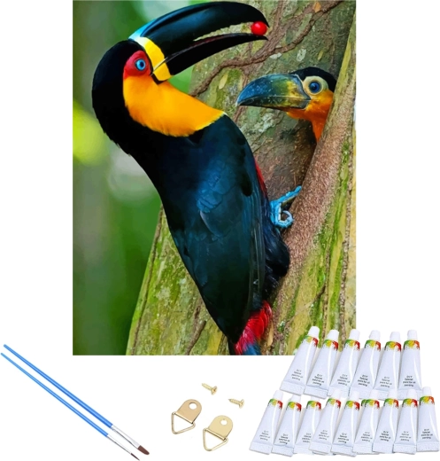 Set complet cu pânză întinsă