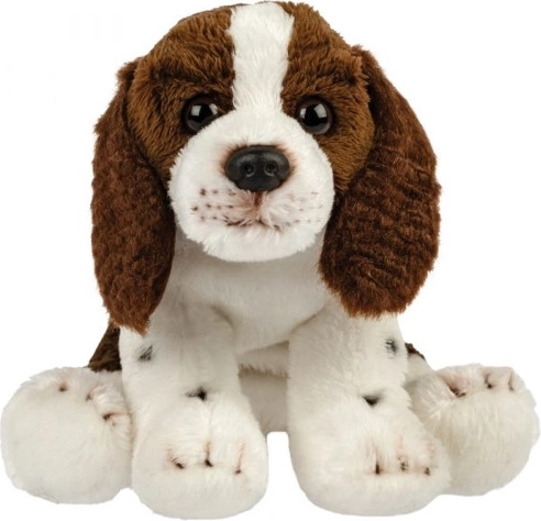 Câine de pluș – spaniel