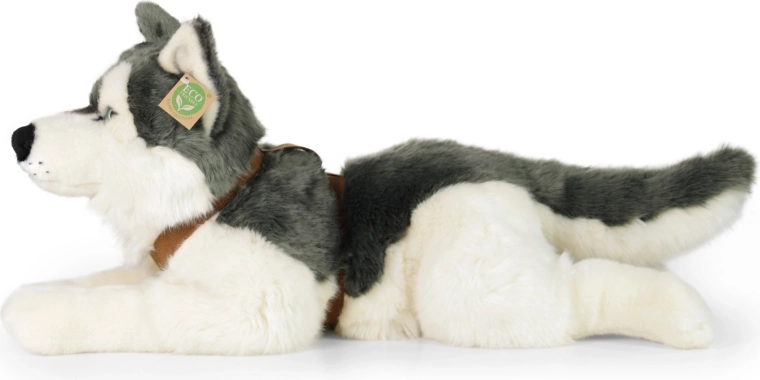 Aspect realist de husky