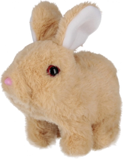 Mișcări și sunete drăgălașe