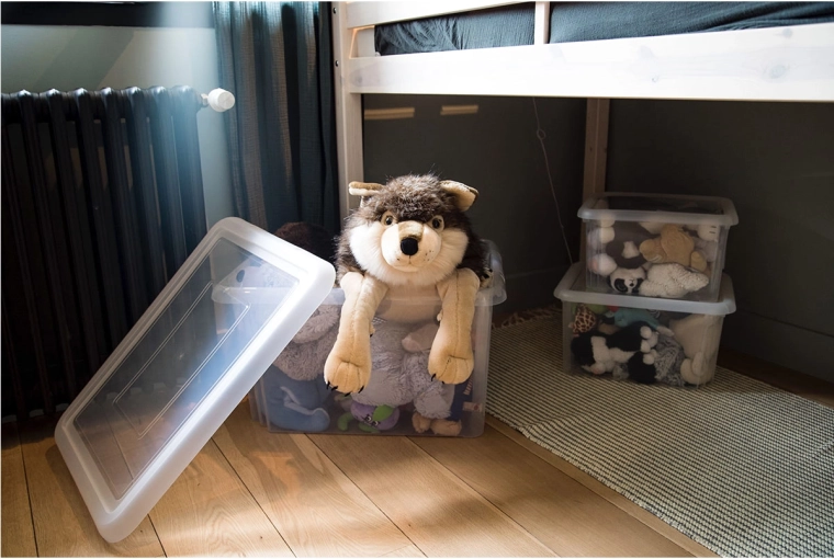 Economisire de spațiu cu capac stivuibil