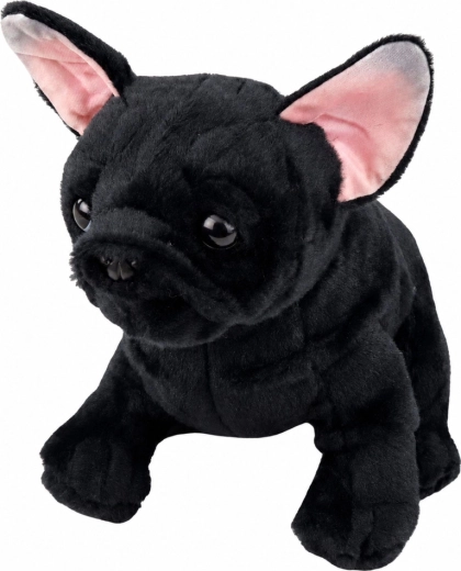 Aspect realist de bulldog
