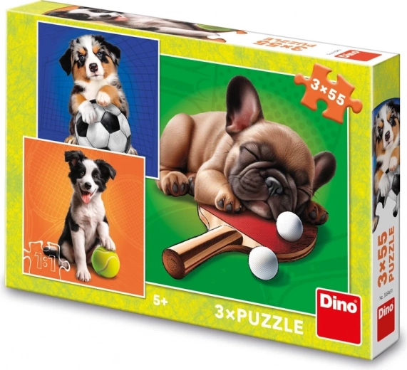 Puzzle Sportivi canini 3×55 piese