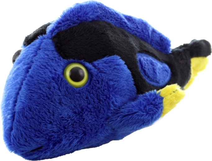 Culori strălucitoare care atrag atenția