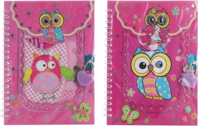 Carnet cu cheiță și bufnițe