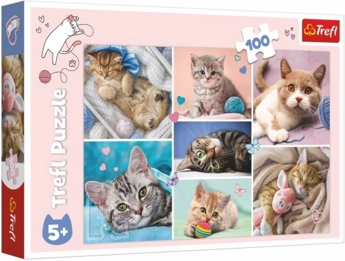 Puzzle În lumea pisicilor 100 piese Trefl