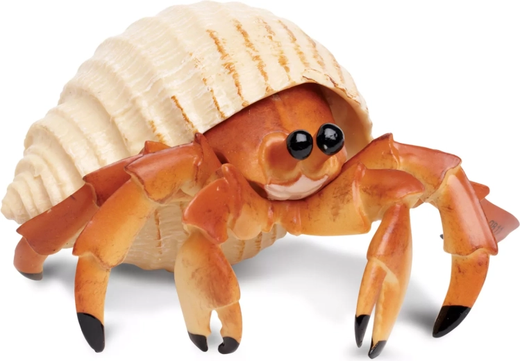 Crab pustnic Safari Ltd.