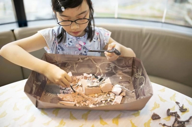 Experiență reală de excavare acasă