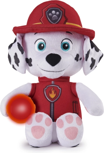 Eroul îndrăgit PAW PATROL