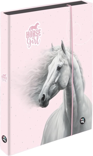 Box pentru caiete A5 Jumbo Cal Romantic