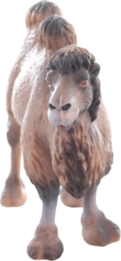 Plastic durabil și poziție stabilă