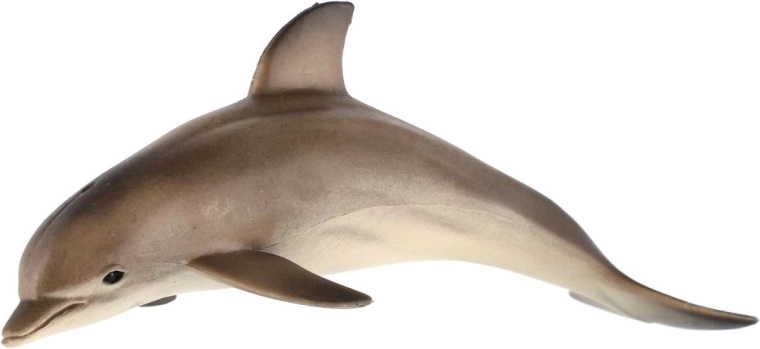 Pentru micii exploratori ai oceanelor