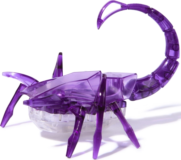 Design HEXBUG transparent atractiv