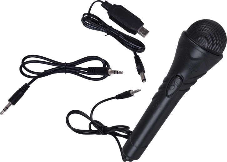 Karaoke și concerte acasă