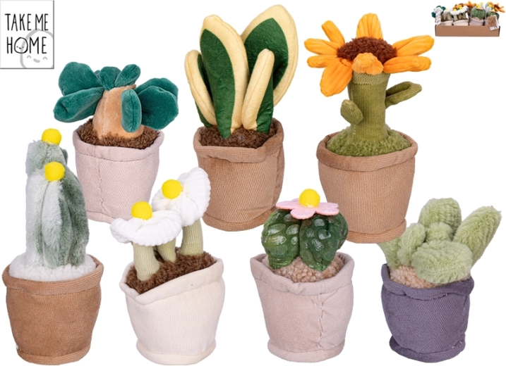 Plante de cameră din pluș Take Me Home 12–17 cm, 7 tipuri
