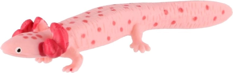 Aspectul caracteristic al axolotlului