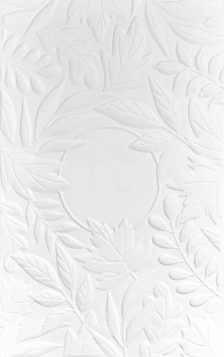 Efect 3D în relief pentru un wow garantat