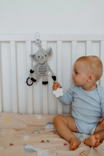 Zornăitoare delicată și urechiușe foșnitoare